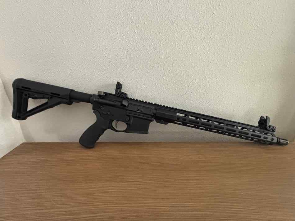 Sionics AR 15