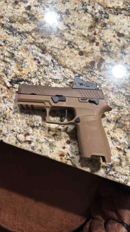 SIG M17